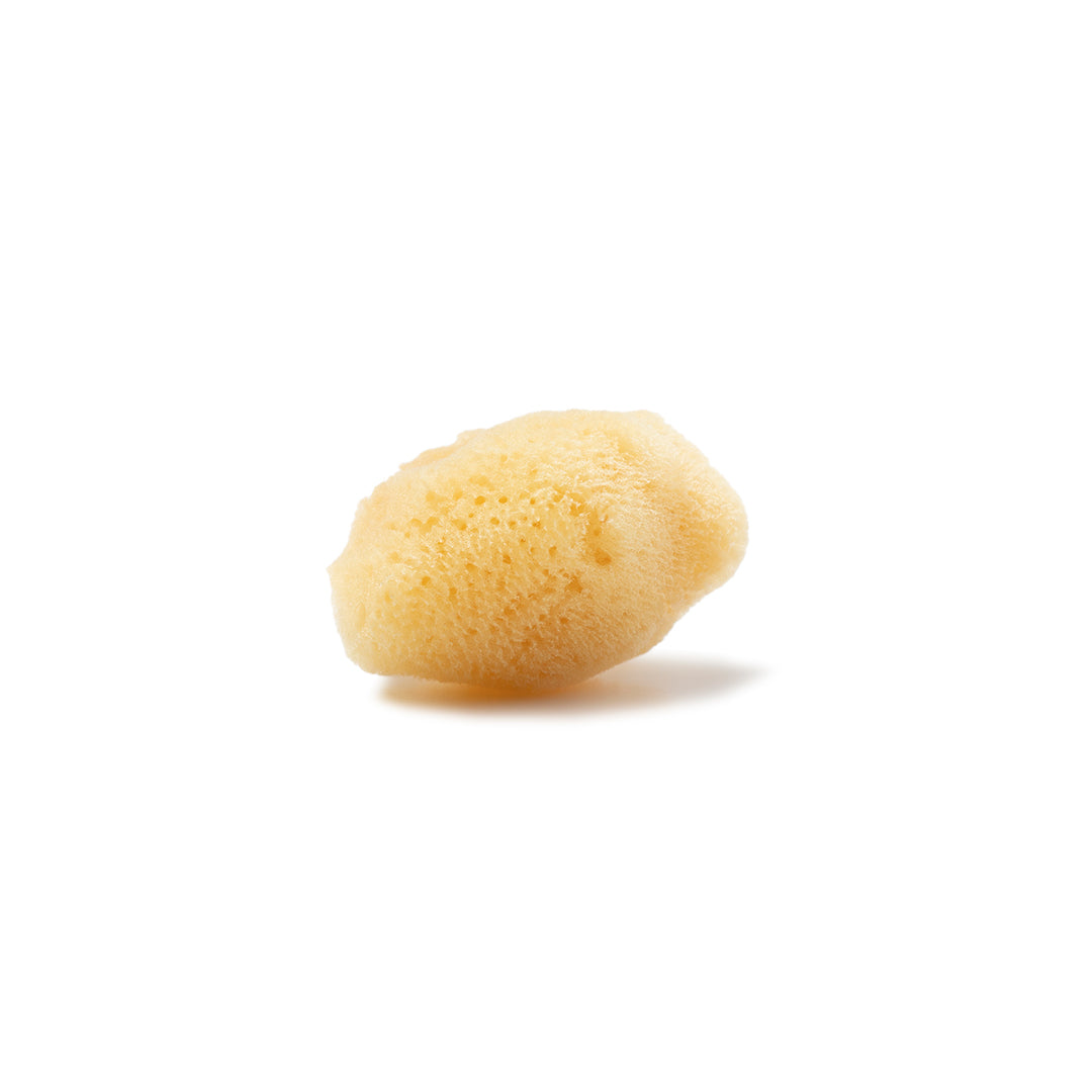 Small Wool Bathing Sea Sponge